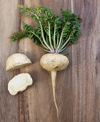 r-400-yellow-maca-root-board